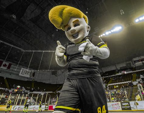 The Inspiration Behind the Milwaukee Wave Mascot's Look and Persona